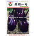 Beauty eggplant No.1-High Yield Super Early Mature Round Black Purple Eggplant seeds